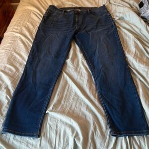 Nordstrom Rack Curve Appeal Essential skinny jeans a. Size 16/33.